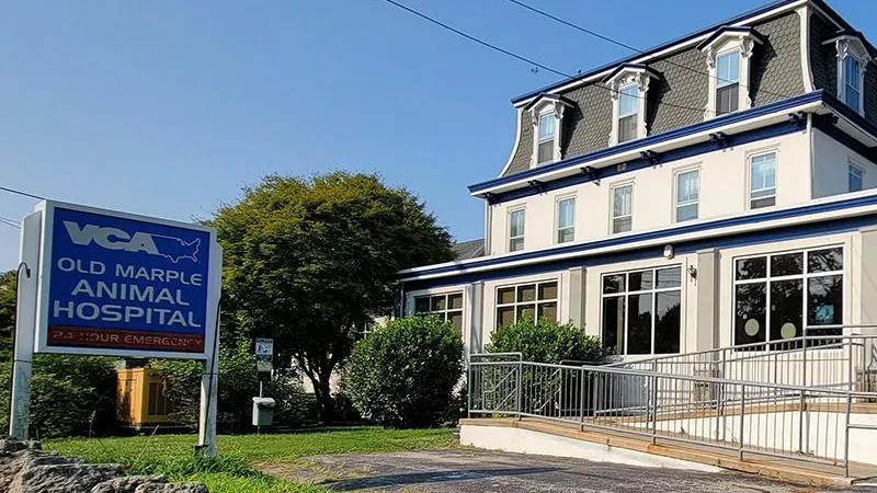 VCA Old Marple Animal Hospital - Image 1