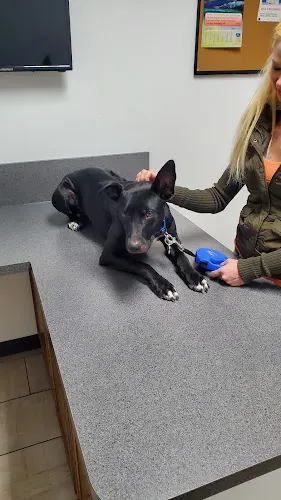 Manchester Animal Med Ctr - Image 1