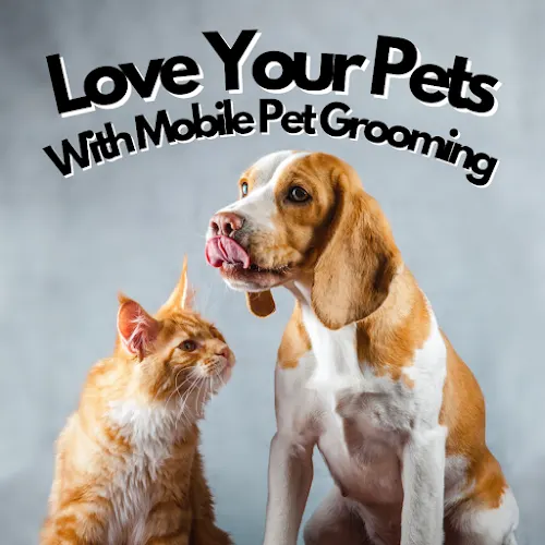 Lau Mobile Pet Grooming Services - Image 1