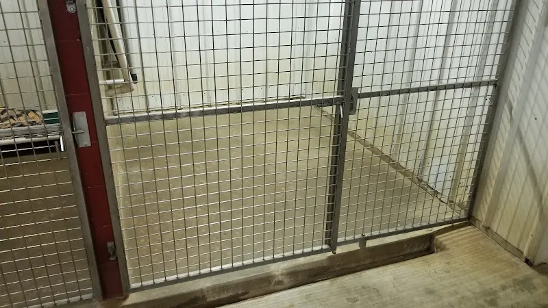 Hilltop Groomer & Kennel Service - Image 1