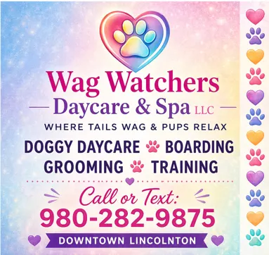 Wag Watchers DayCare & Spa LLC - Image 1