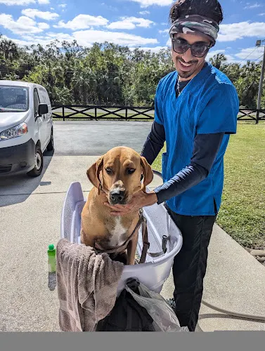 Dorian’s Mobile Pet Care (Ruff-Pup) - Image 1