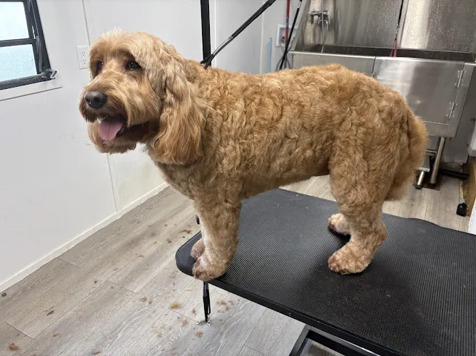The Grooming Shack - Image 1