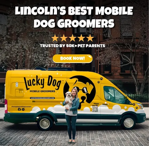 Lucky Dog Mobile Groomers - Lincoln, NE - Image 1