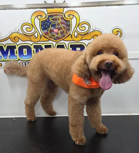 Monarca Mobile Pet Grooming - Image 1