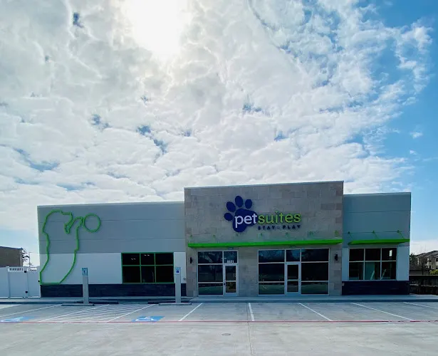 PetSuites The Woodlands - Image 1