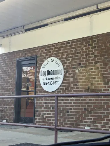 Nails To Tails Dog Grooming - Image 1