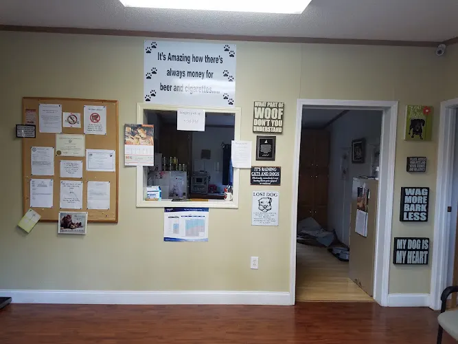 Surry Spay/Neuter Clinic - Image 1