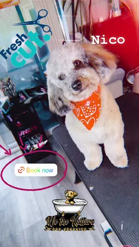 We The Kulture Dog Grooming - Image 1