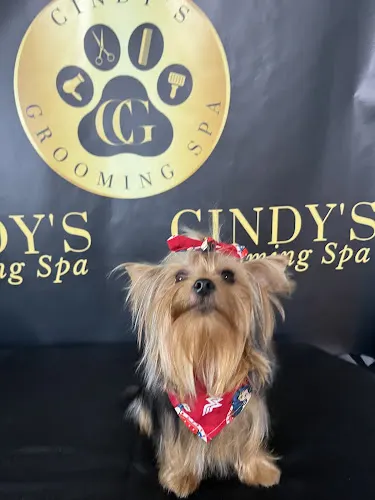 Cindy's Grooming - Image 1