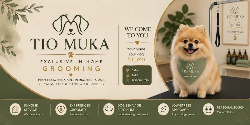 Tio Muka In-Home grooming in Uxbridge, MA