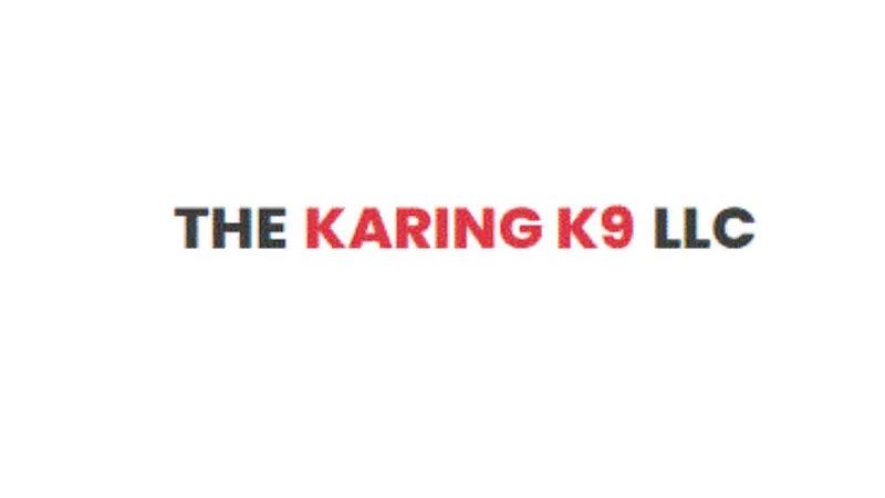 The Karing K9 - Image 1