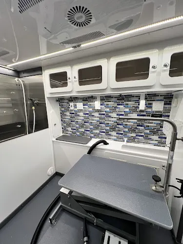 Blue Ribbon mobile grooming - Image 1