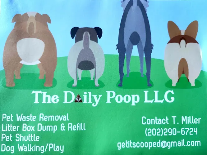 The Daily Poop in Forestville, MD
