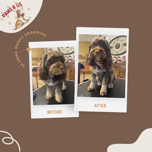 Paws R Us In-Home Mobile Grooming - Image 1