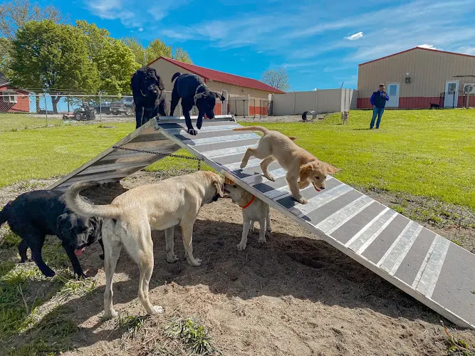 Rock River Pet Resort - Image 1