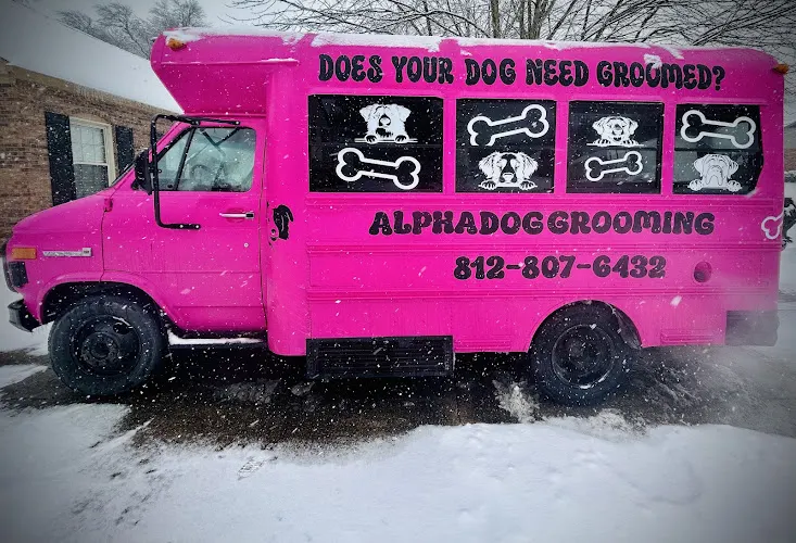 ALPHA DOG MOBILE GROOMING - Image 1