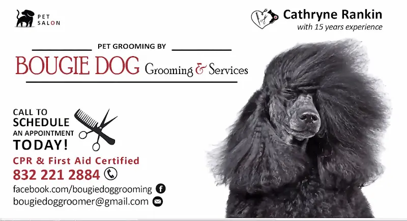 Bougie dog grooming and services - Image 1
