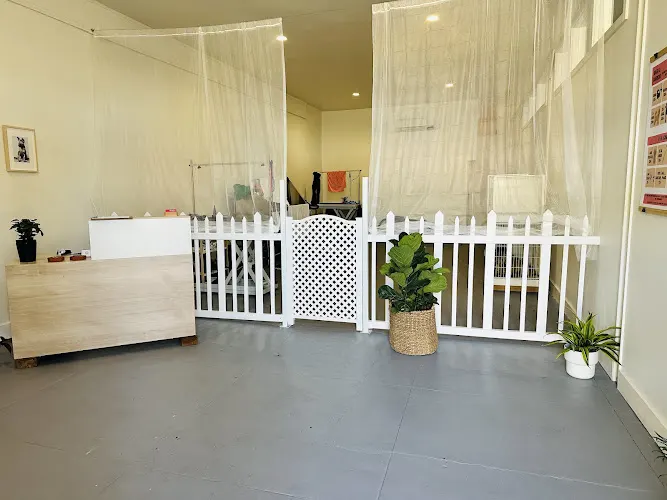 Friendly Dog Grooming - Image 1