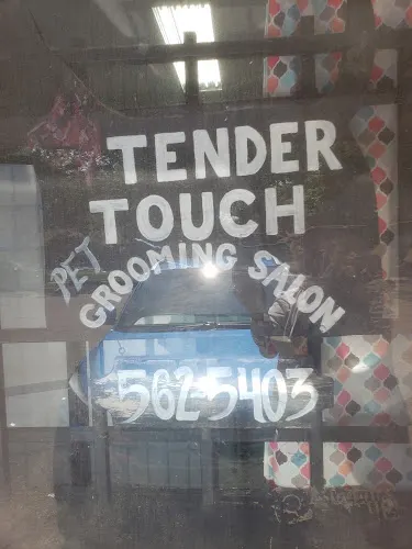 Tender Touch Grooming Salon - Image 1