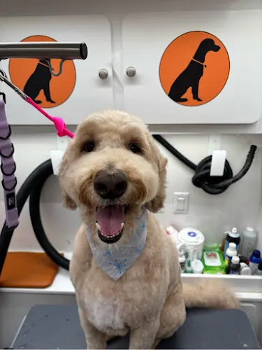 Furry Land Mobile Pet Grooming Portland - Image 1