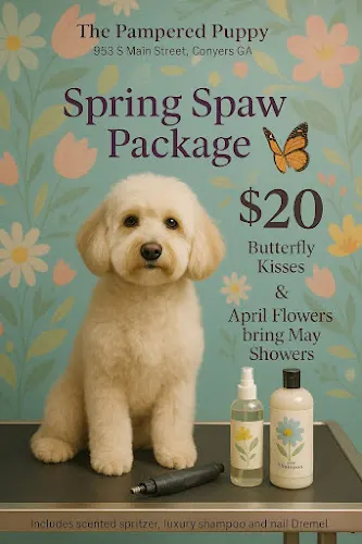 Pampered Puppy - Image 1