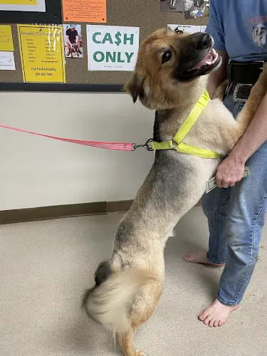Brandi's Pet Grooming - Image 1