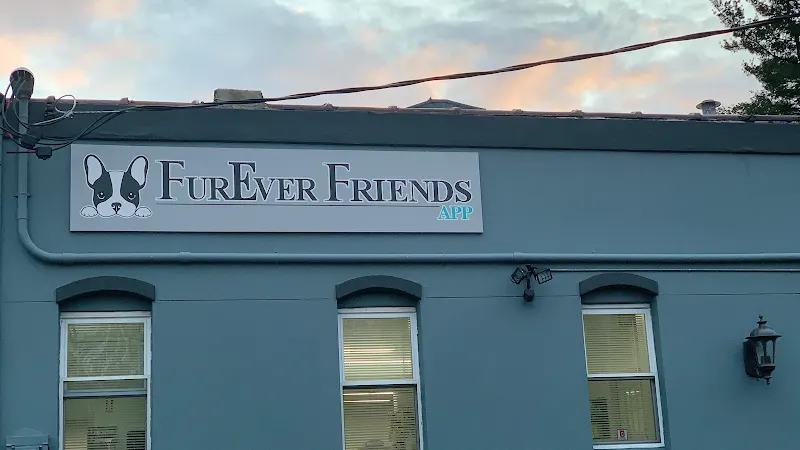 FurEver Friends Family - Image 1