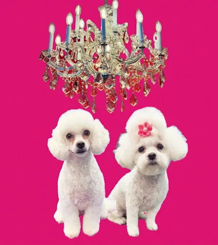 The Pink Paw - Image 1