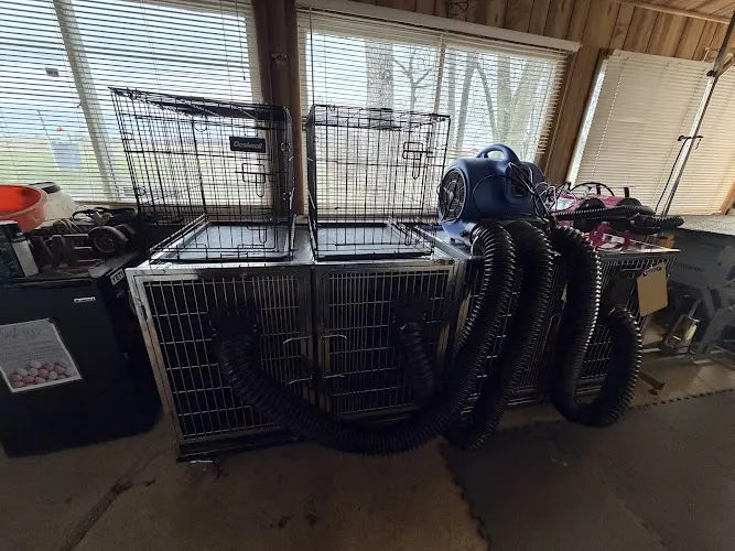 The Doggie Den - Image 1