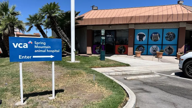 VCA Spring Mountain Animal Hospital - Image 1