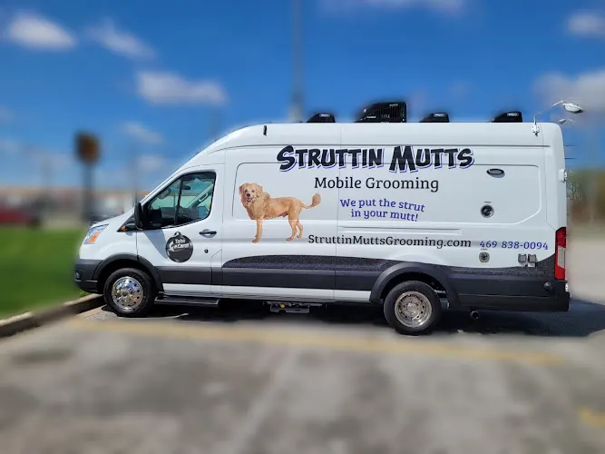 Struttin Mutts Mobile Grooming - Image 1