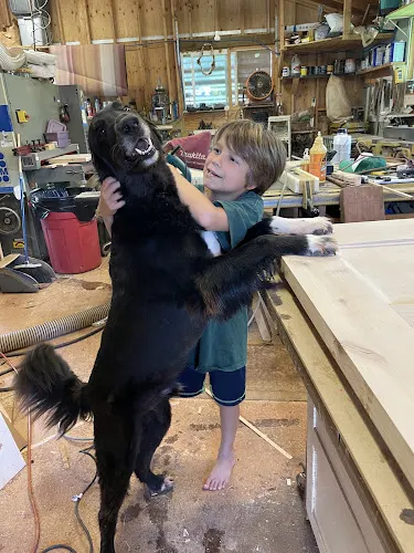 Pawstastic Pets - Image 1