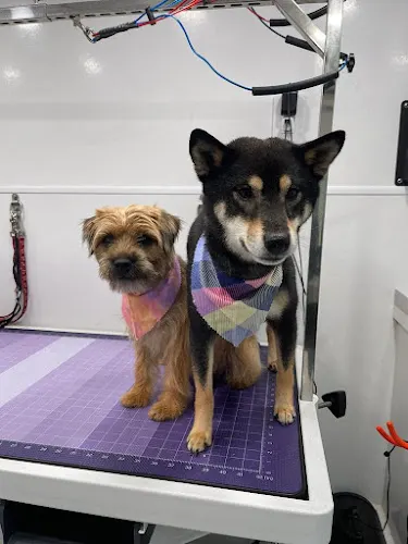 ML Pet Grooming Services - Image 1
