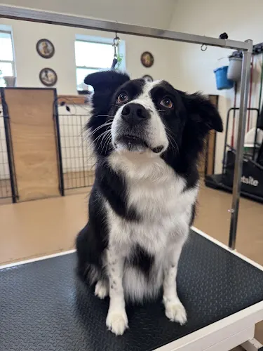 Long Dog Locale in Redmond, OR