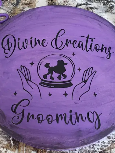 Divine Creations Grooming - Image 1