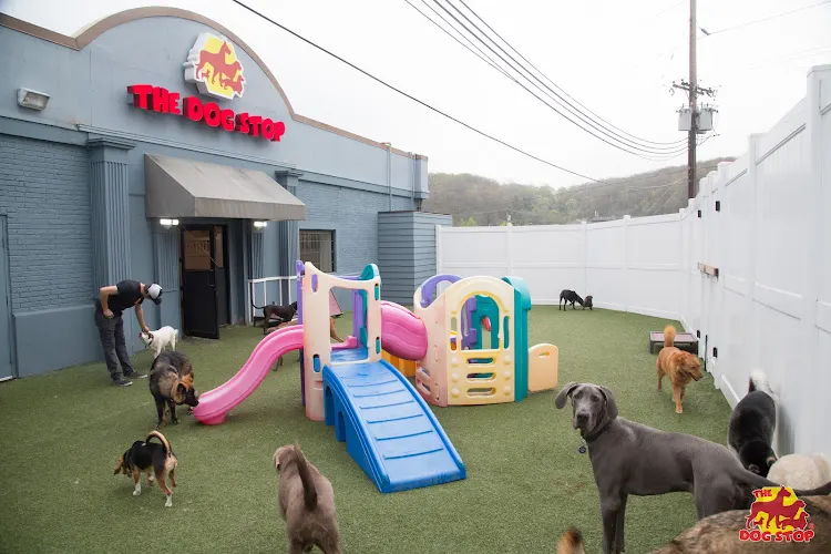 The Dog Stop - Wexford, PA - Image 1