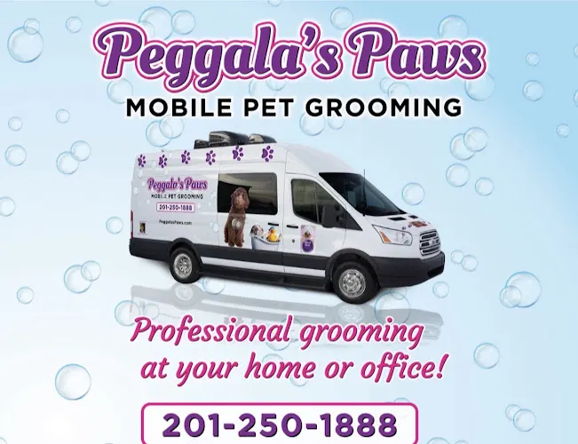 Peggala’s Paws Mobile Dog Grooming - Image 1