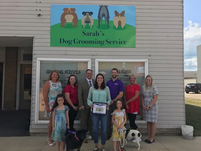 Sarah's Dog Grooming Service - Image 1