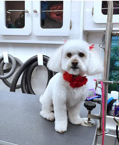 Z Beauty Mobile Pet Spa - Image 1