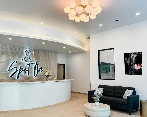 Spot On Veterinary Hospital - Westport in Westport, CT