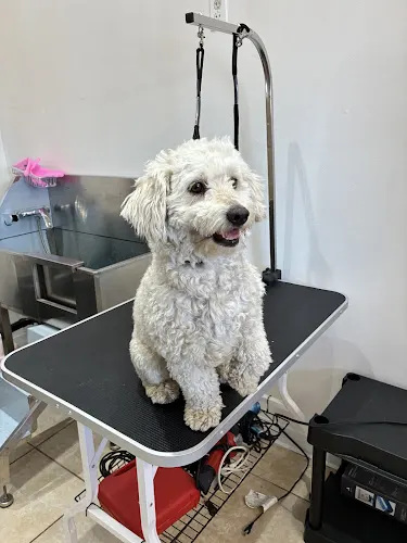 Mb grooming - Image 1