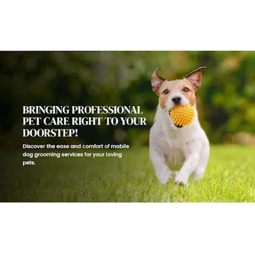 K9 Cleaners Inc. Mobile Dog Grooming - Image 1