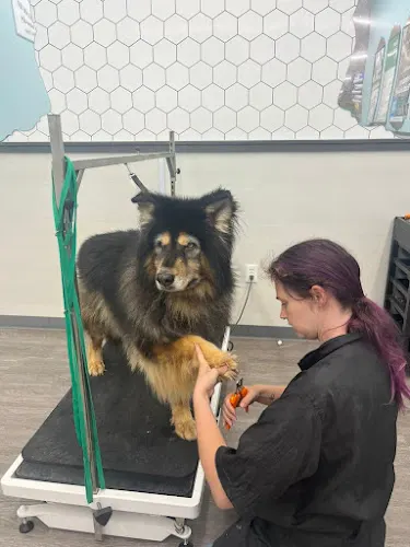 Pet Supplies Plus Whitewater Grooming - Image 1