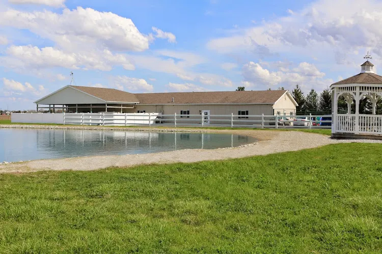 Gold Star Pet Resort Inc - Image 1