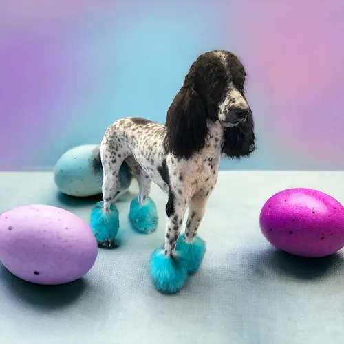 The Ritz Pet Resort and Spa, LLC - Image 1