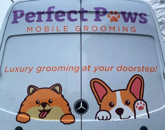Perfect Paws Mobile Grooming - Image 1