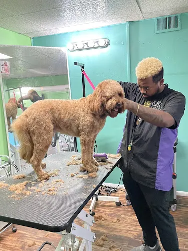 Charm City Groomery - Image 1