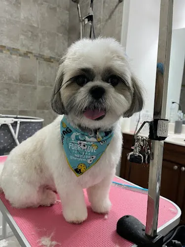 Furrylove Pet Spa in Columbus, NJ