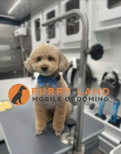 Furry Land Mobile Pet Grooming Fort Myers - Image 1